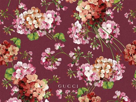 gucci flora background